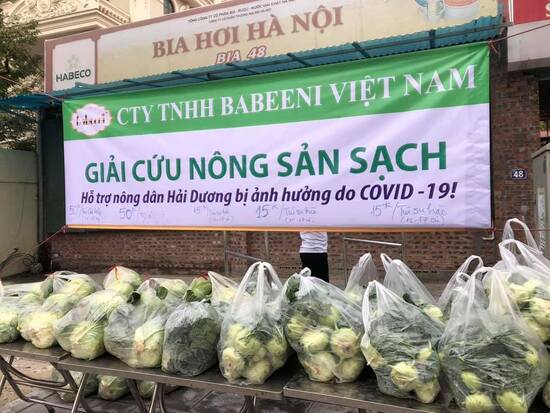 Rescuing fresh agricultural produce from Hai Duong